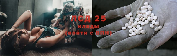 гидра Алексин
