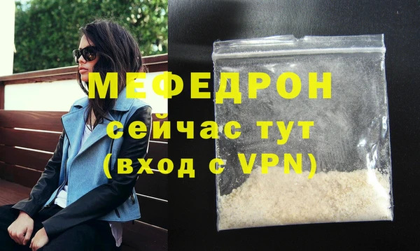 твердый Протвино