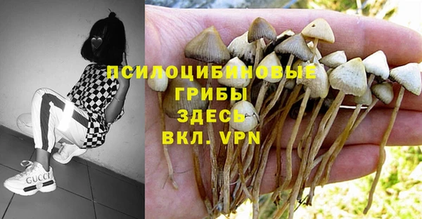 каннабис Алексеевка
