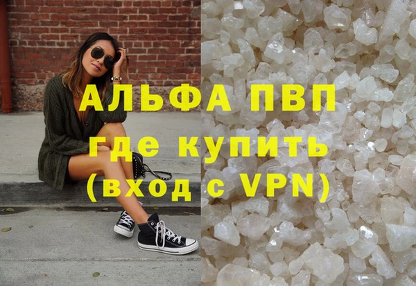 гидра Алексин