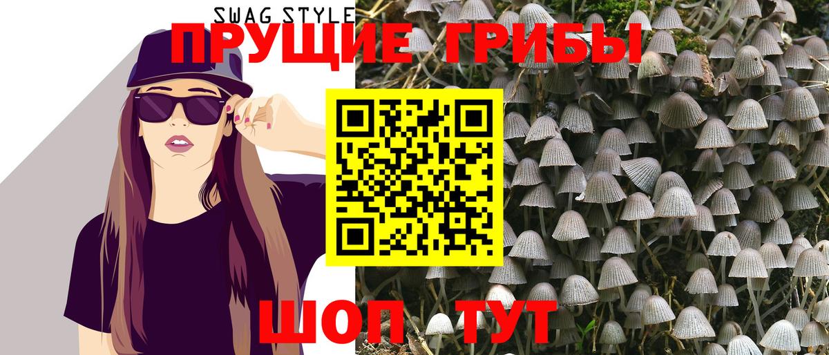 Сосновоборск  Псилоцибиновые грибы Cubensis  Вход с VPN  Галлюциногенные грибы Magic Shrooms 