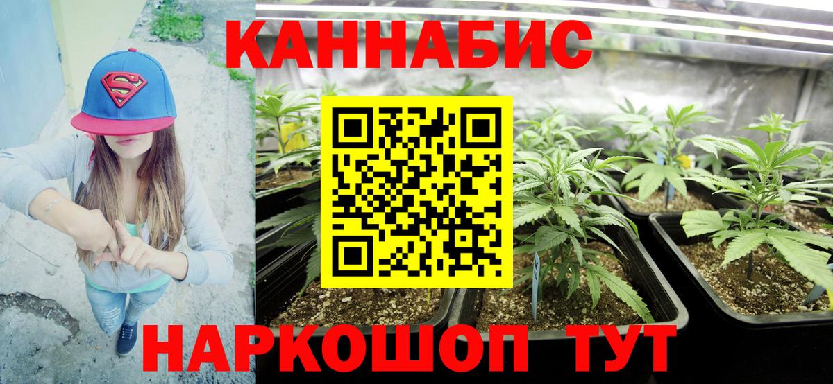 Конопля Bruce Banner Сосновоборск